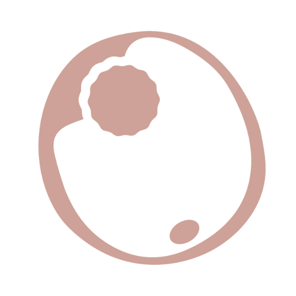 Fase 0 - Activación Biológica